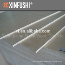 Birch plywood for America market